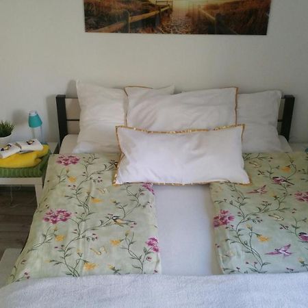 Zacisze Starowki Apartment Stary Toruń Exterior foto
